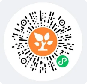 局部截取_20260219_200332.png