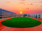 B64841cb160cbcce59.jpg